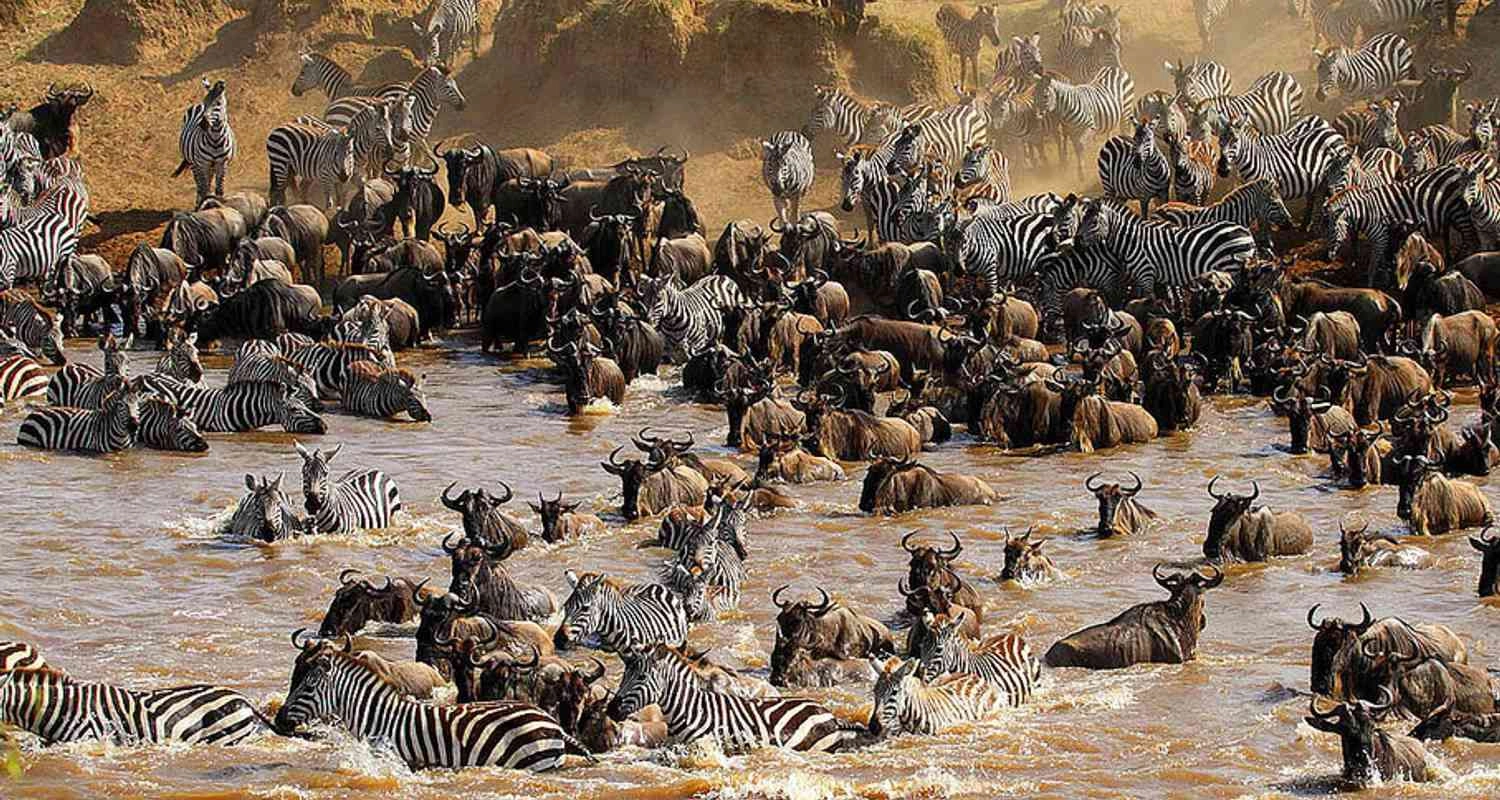 12-Day Kenya Safari & Dubai Luxury Escape from £2,299pp