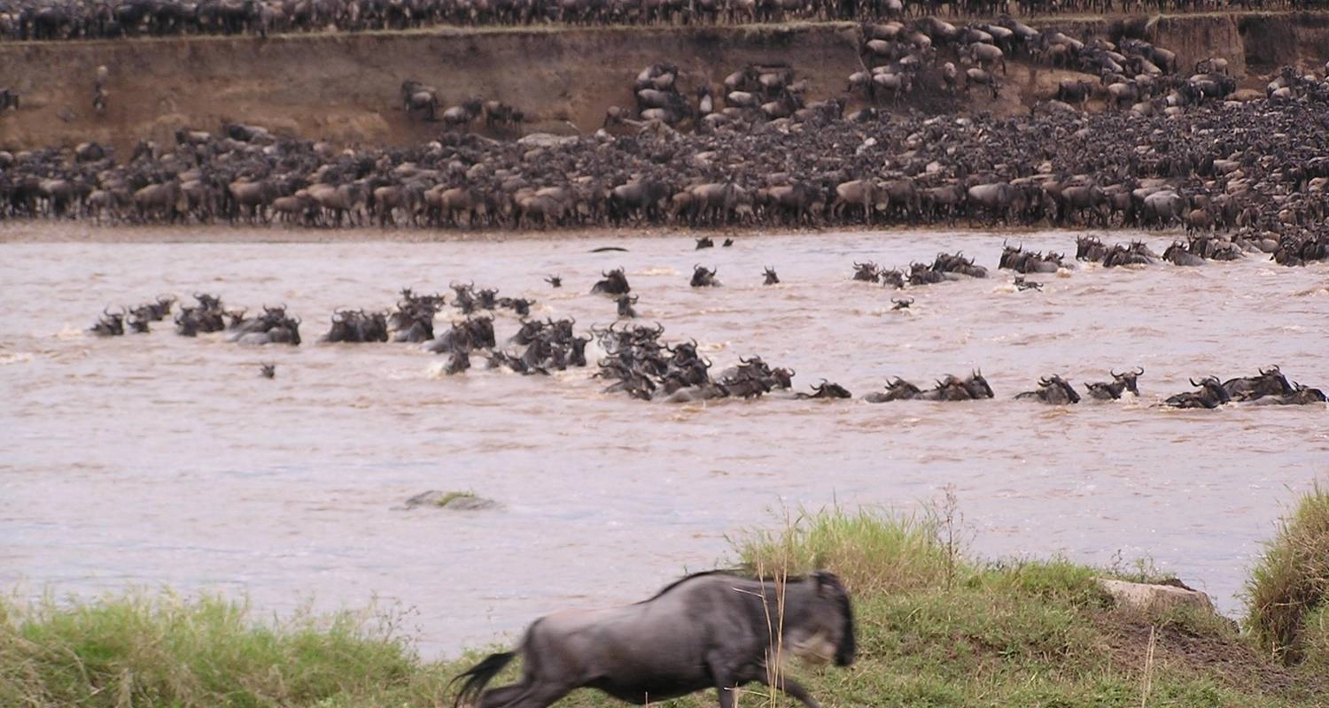 12-Day Kenya Safari & Dubai Luxury Escape from £2,299pp