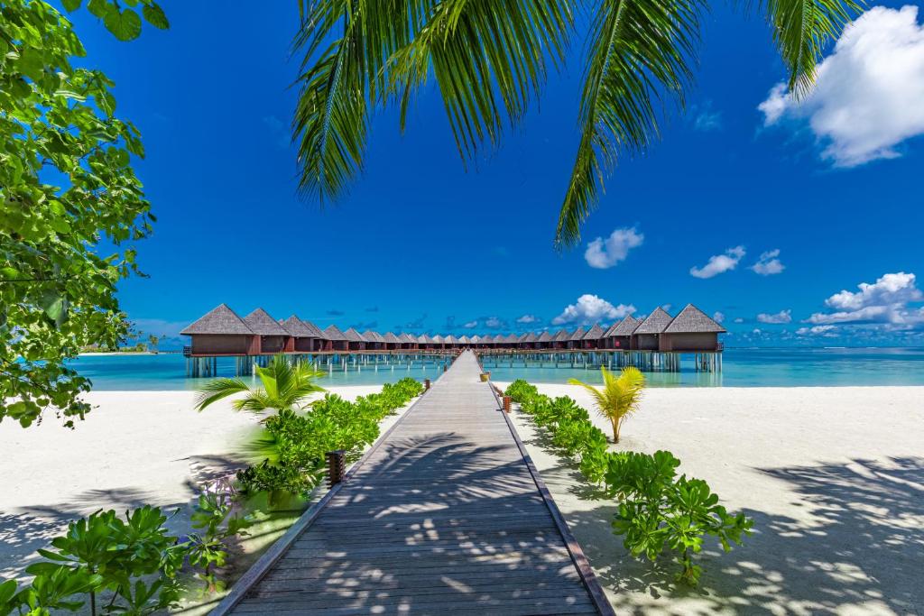 07 Nights Sun Siyam Olhuveli Maldives 2026 Escape – All Meals, All Magic – Only £1499pp!