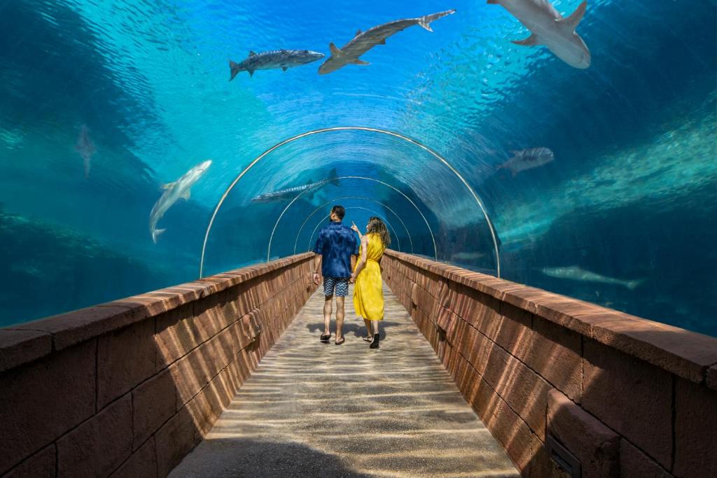 10 nights Holiday Deal in Orlando & Nassau Bahamas on Room Only Basis, Starting from £ 4699 Per Family