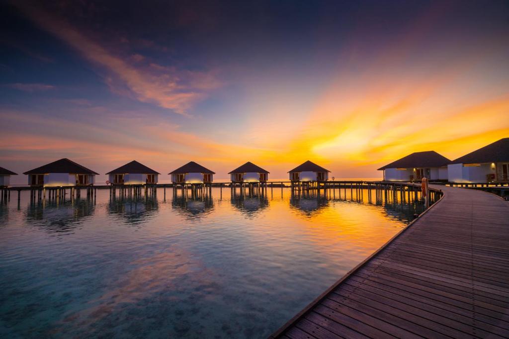 07 Nights Holiday Deal for Ellaidhoo Maldives by Cinnamon Superior Room, Starting from £ 1,399 PP