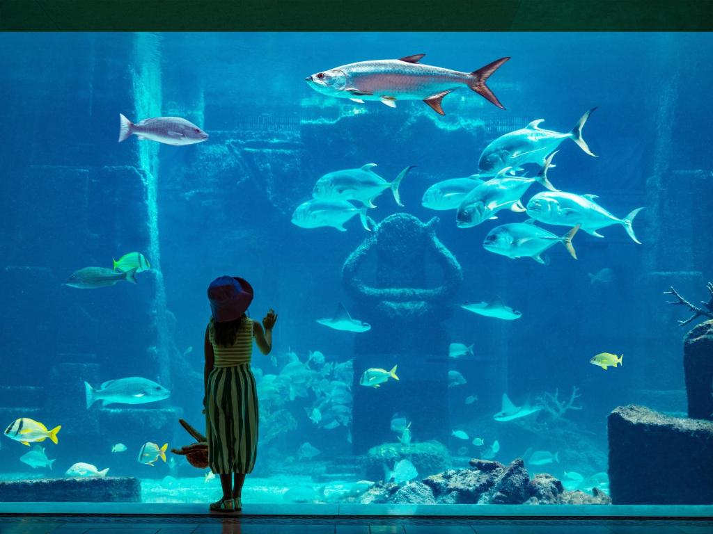 10 nights Holiday Deal in Orlando & Nassau Bahamas on Room Only Basis, Starting from £ 4699 Per Family