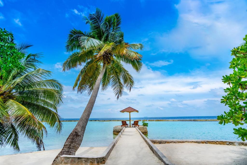 07 Nights Holiday Deal for Ellaidhoo Maldives by Cinnamon Superior Room, Starting from £ 1,399 PP