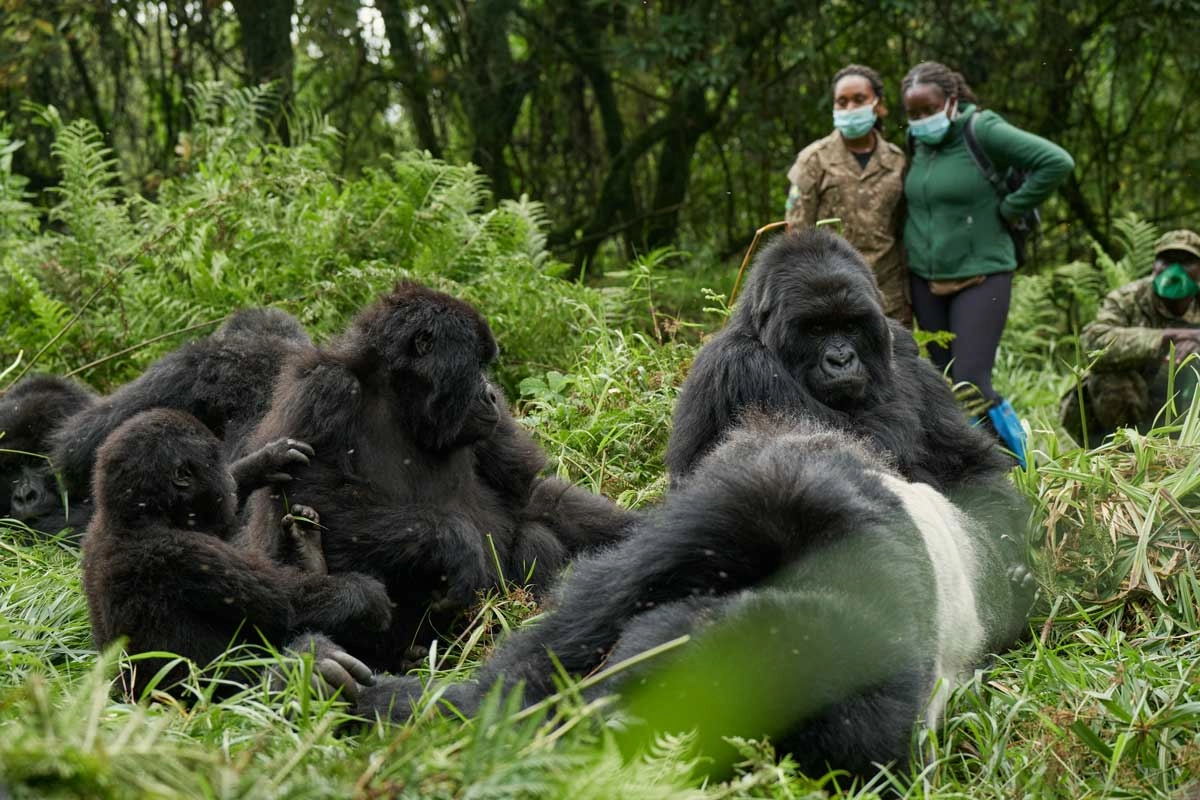 12-Day Kenya Safari & Dubai Luxury Escape from £2,299pp