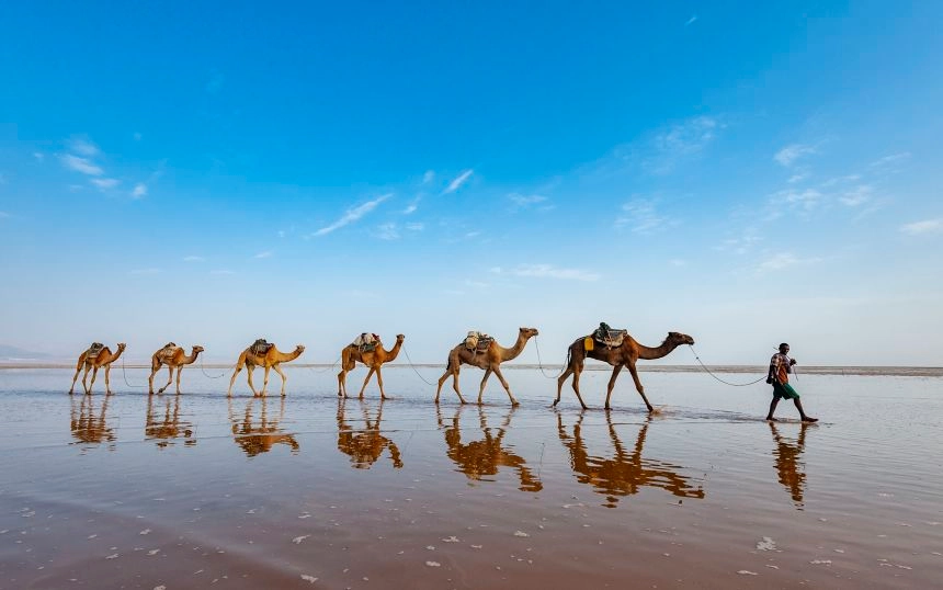 12-Day Kenya Safari & Dubai Luxury Escape from £2,299pp