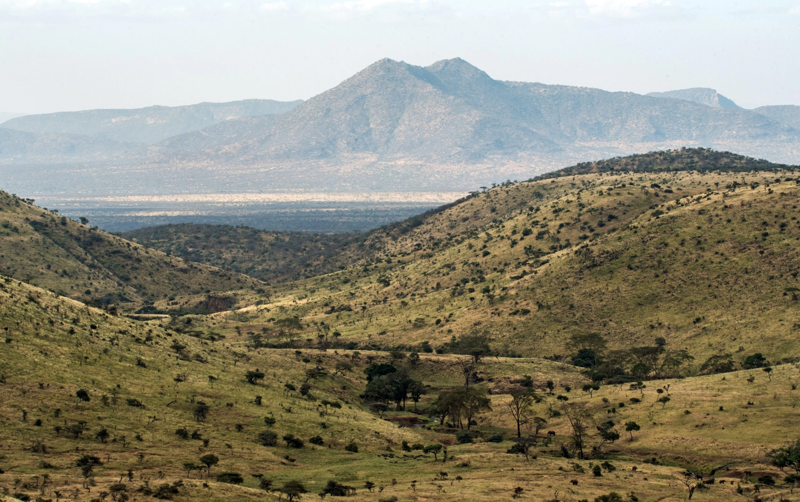 12-Day Kenya Safari & Dubai Luxury Escape from £2,299pp